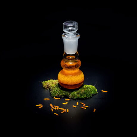 Elixir-Anti-aging-de-la-Careless-Beauty-0003.jpg