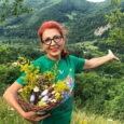 Tratament Cosmetic 100% Natural pentru Acnee Juvenilă (9-14 ani)