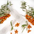 Apă de Cătină Starters (60ml)