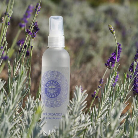 apa-de-lavanda-Careless-Beauty-s00001.jpg